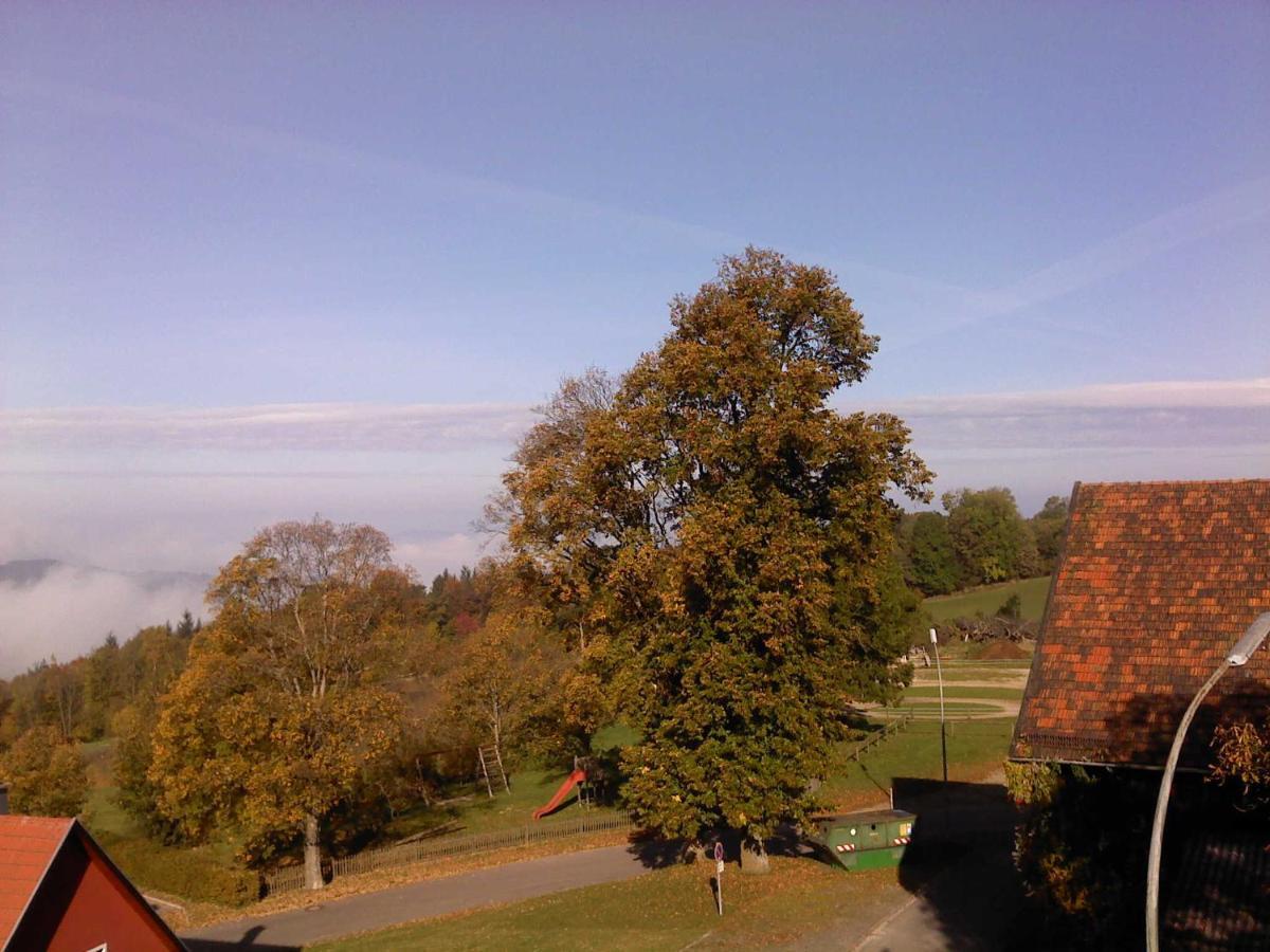 Ferienwohnung Schoenblick Waldmünchen Buitenkant foto