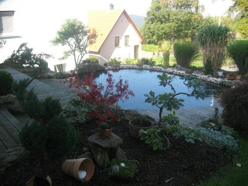 Ferienwohnung Schoenblick Waldmünchen Buitenkant foto